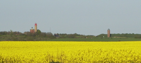 Kap Arkona - Rapsfeld mit Blick auf die Leuchttürme